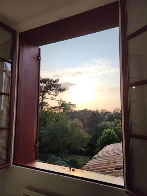 Arcachon Appartement 4 Personnes - Residence Beausejour Ngoại thất bức ảnh