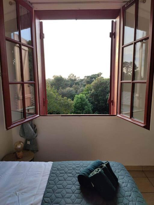 Arcachon Appartement 4 Personnes - Residence Beausejour Ngoại thất bức ảnh